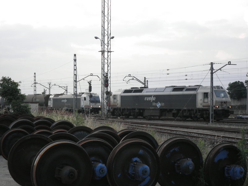 P5191896.JPG