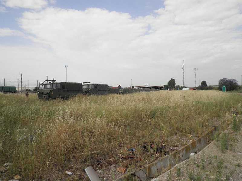 P5161875.JPG