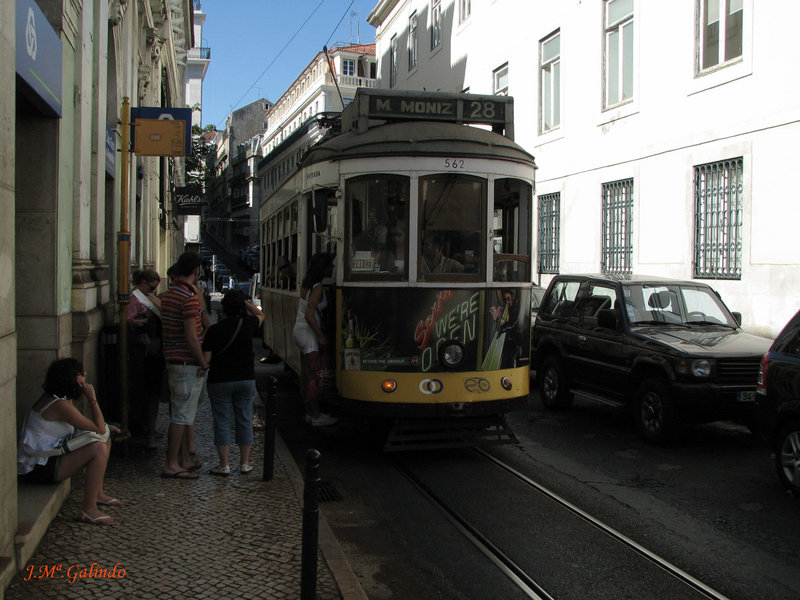 IMG_7428.jpg