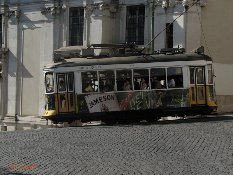 IMG_7436.jpg