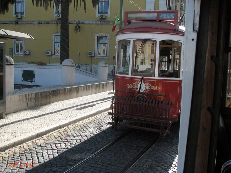 IMG_7470.jpg