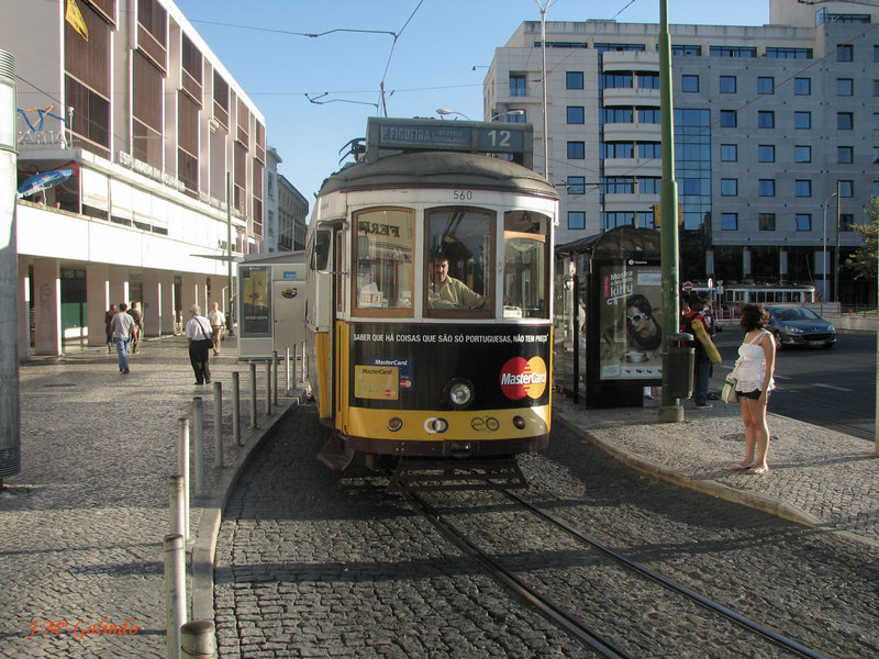 IMG_7489.jpg
