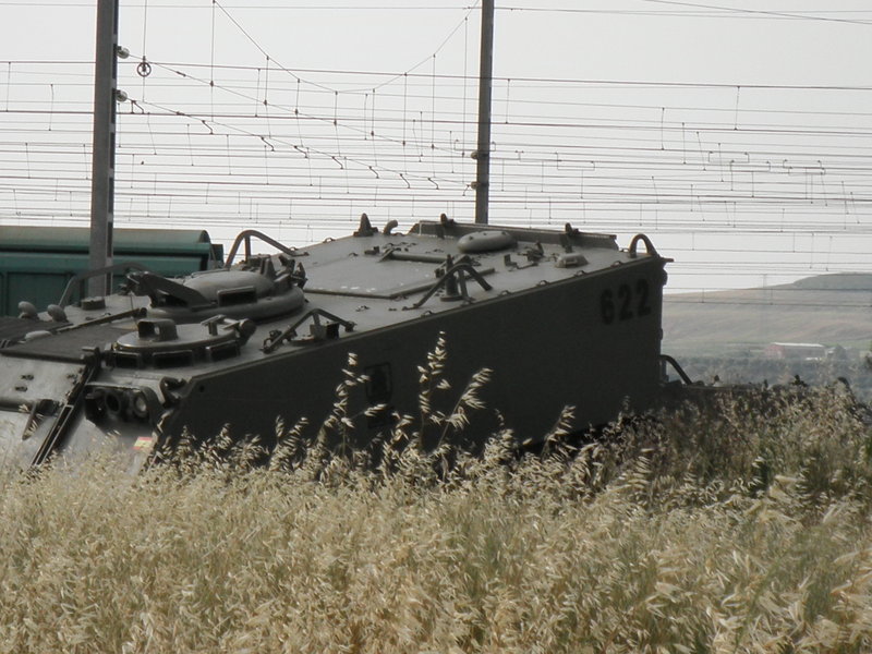P5161876.JPG
