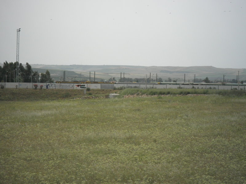 P5161877.JPG