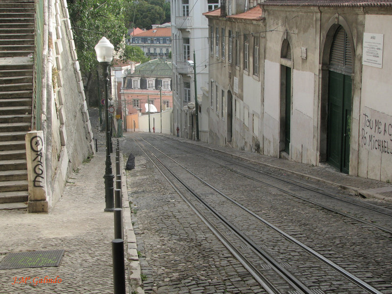 IMG_7508.jpg