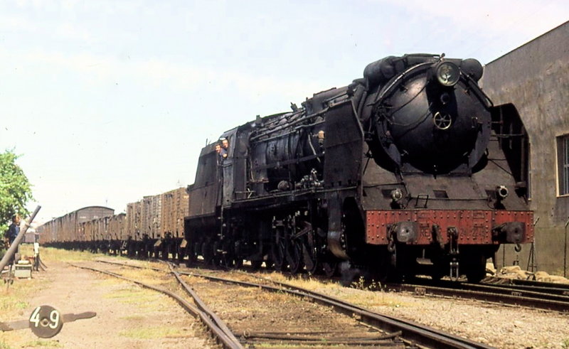 6203.jpg
