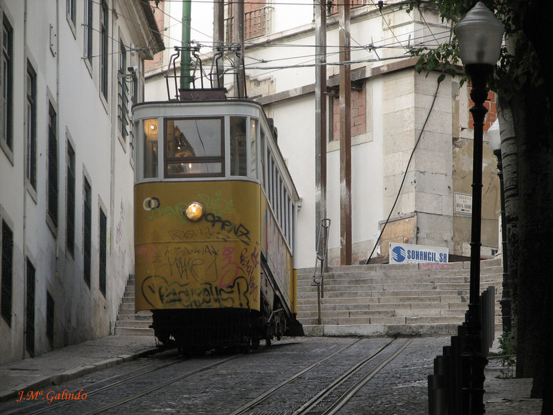 IMG_7510.jpg