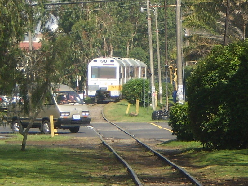 P5220106.JPG