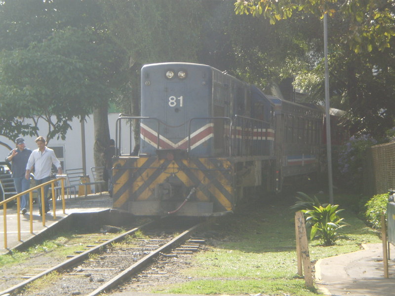 P5220118.JPG