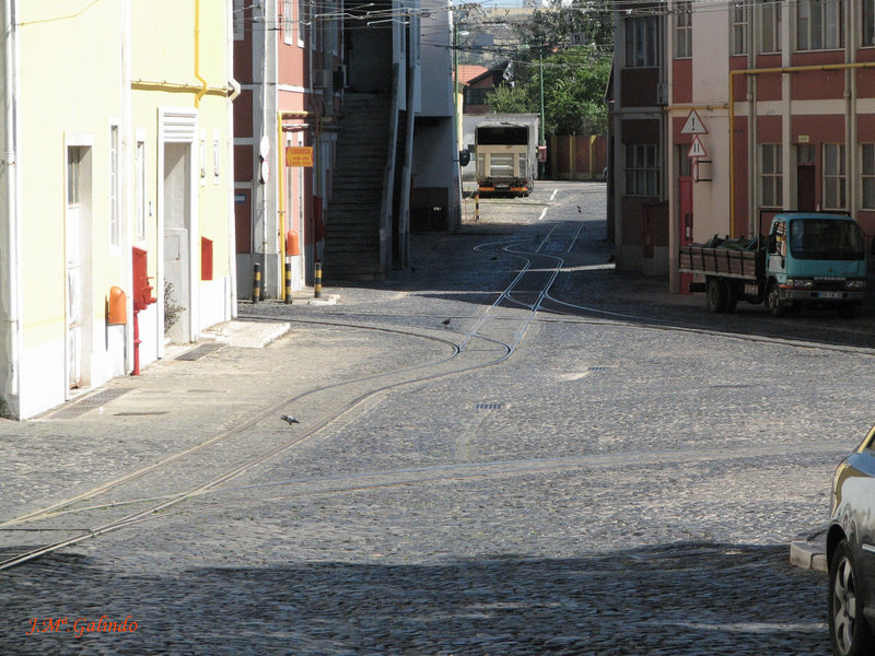 IMG_7647.jpg