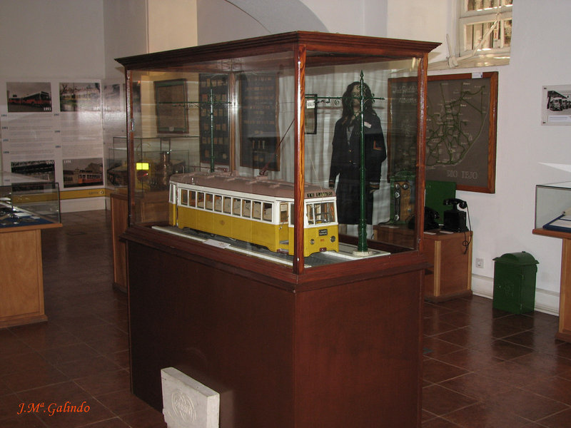 IMG_7651.jpg