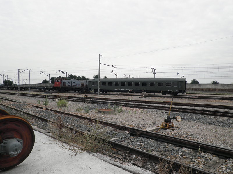 P5261938.JPG