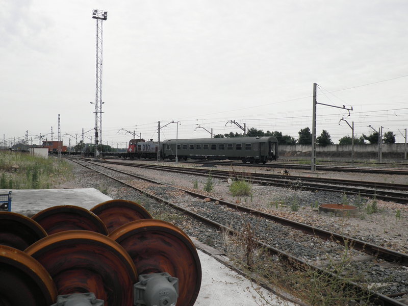 P5261939.JPG