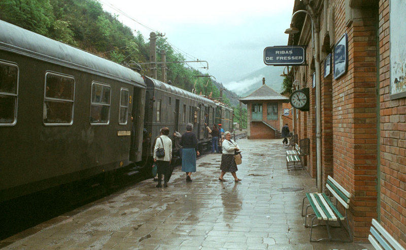 6247.jpg