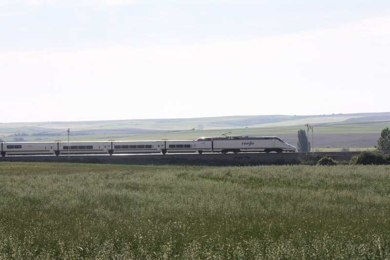 DIMG_7458.JPG