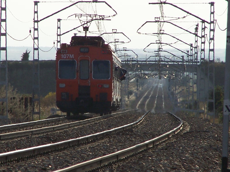 100_6316_cr.jpg