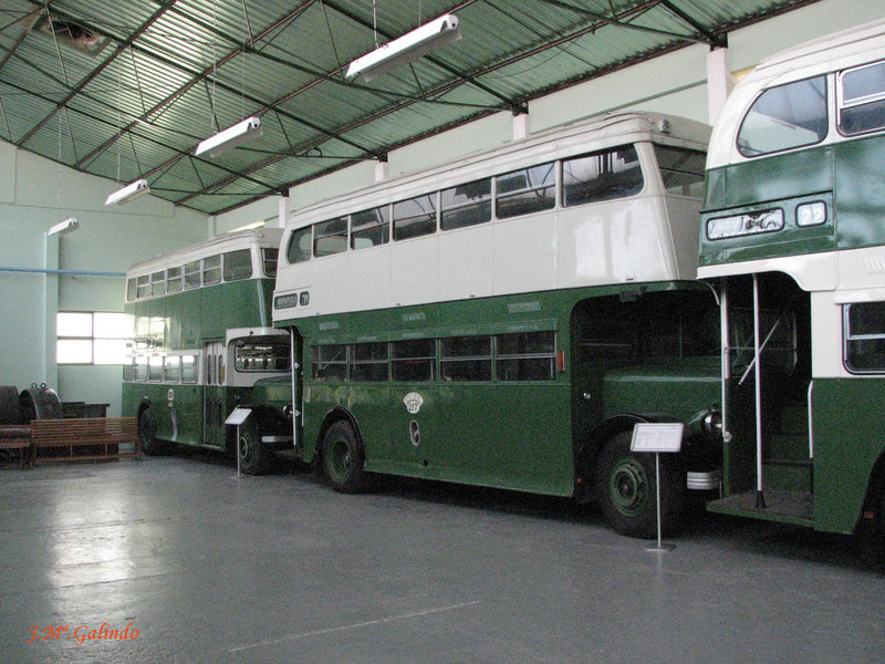 IMG_7682.jpg