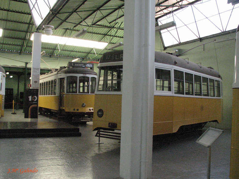 IMG_7684.jpg