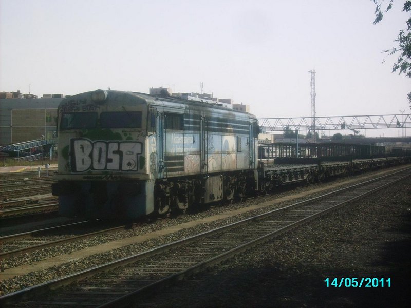 109.JPG