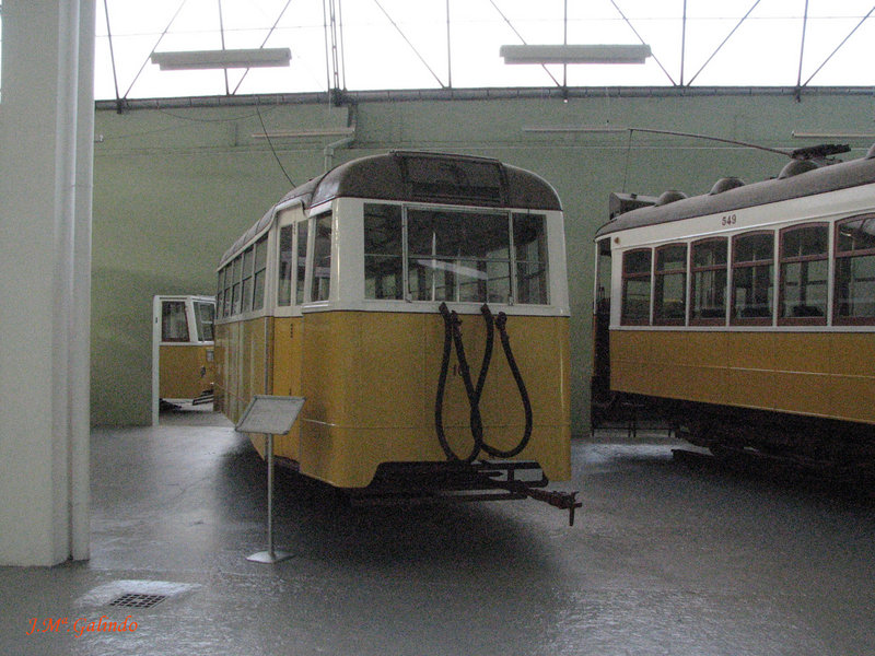 IMG_7687.jpg