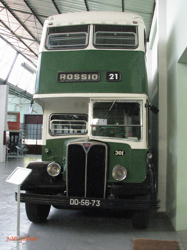 IMG_7689.jpg