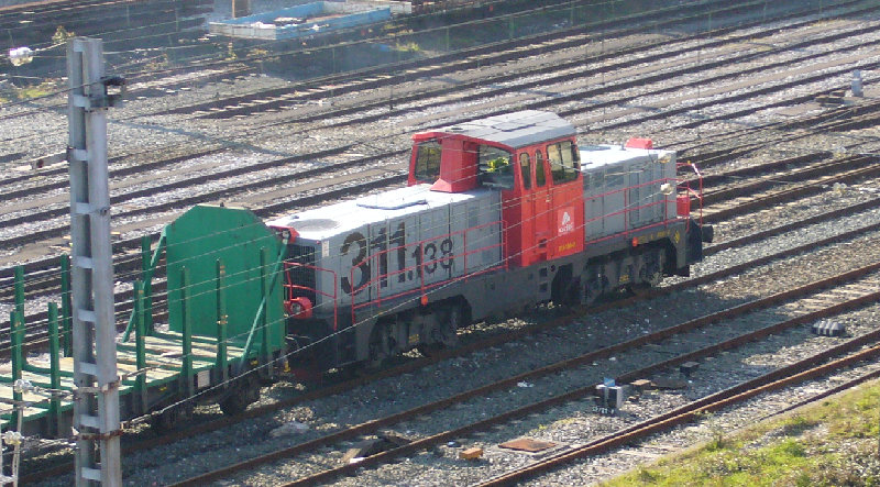 311 copia.jpg