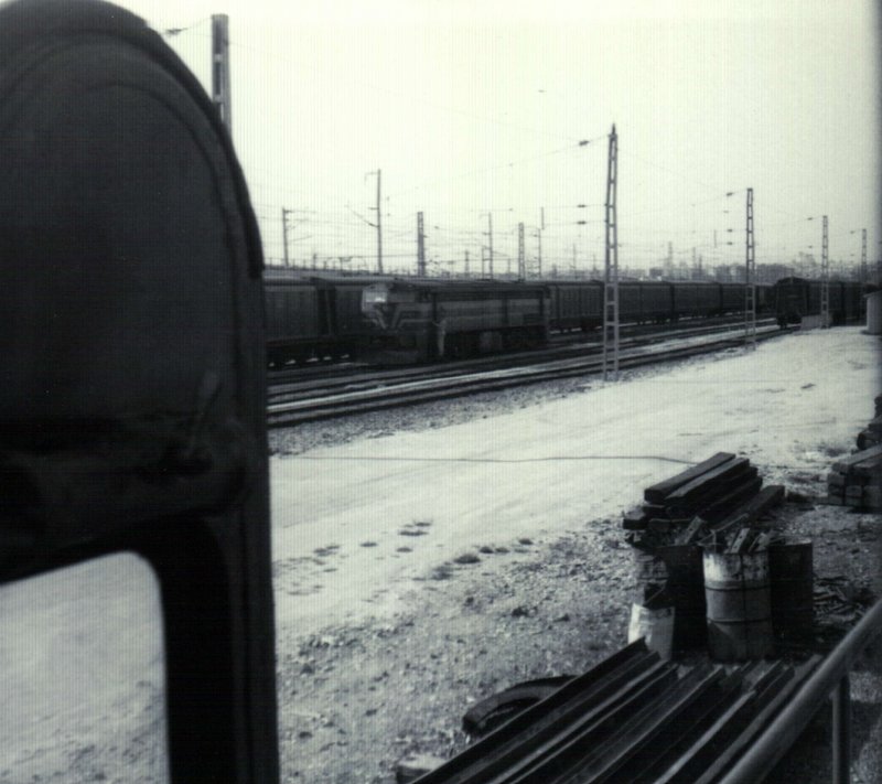 PTDC0001.JPG