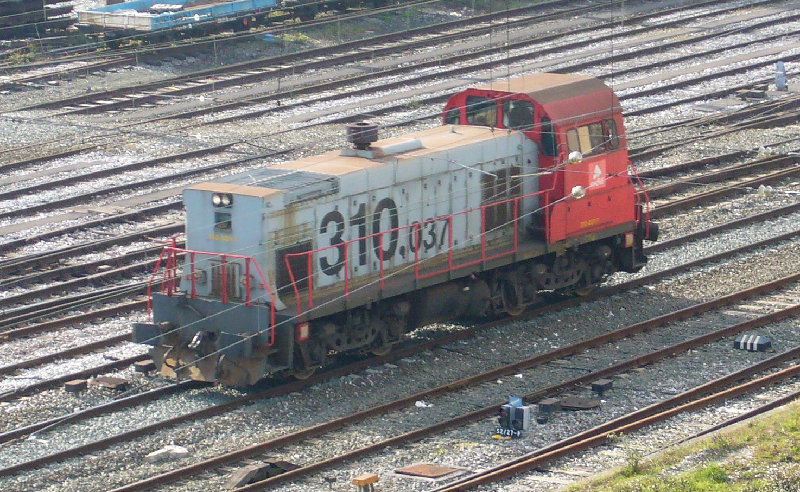 310.JPG