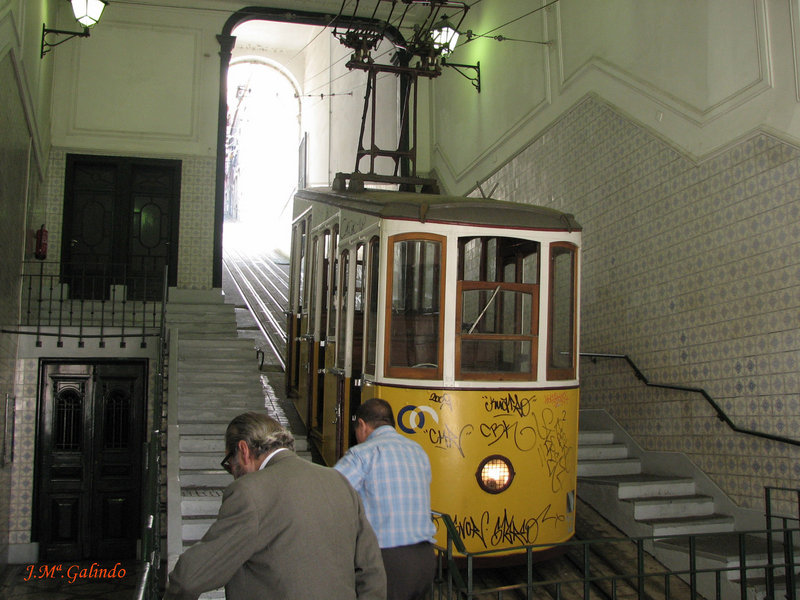IMG_7703.jpg