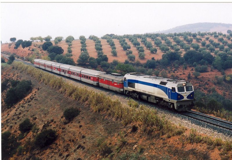 319 con el talgo III rama Almería.jpg