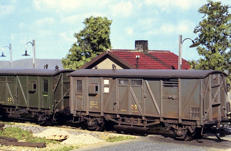 foto 1.jpg