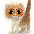 gato asustado.jpg
