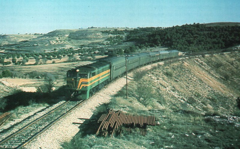 2177.JPG