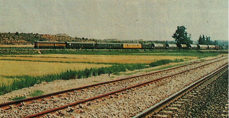 N01 - copia.JPG