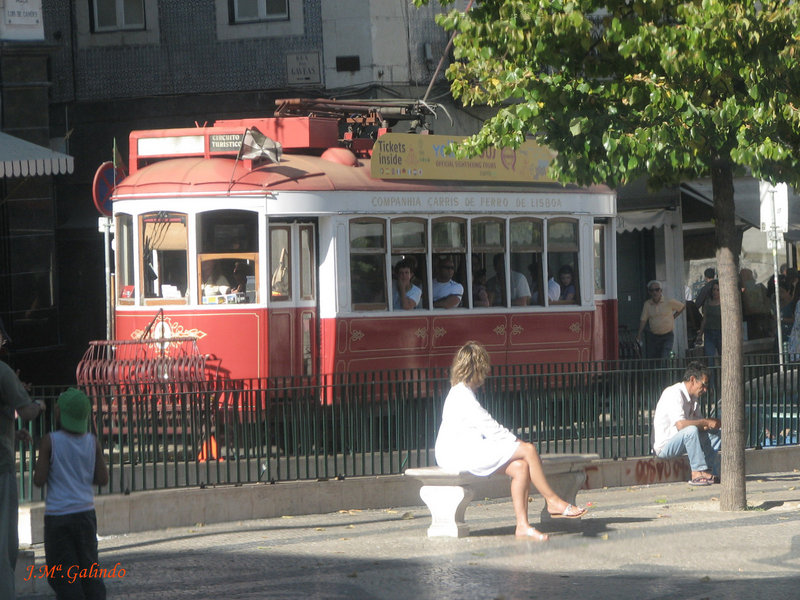 IMG_7725.jpg