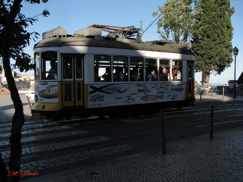 IMG_7749.jpg