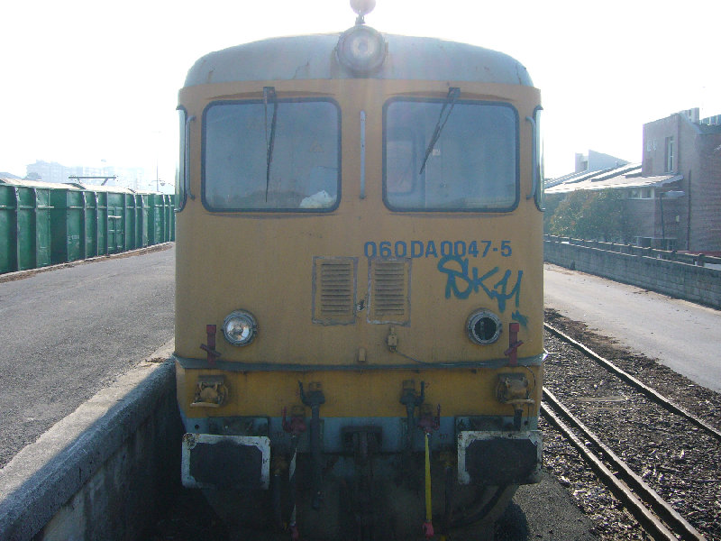 P1020100.JPG