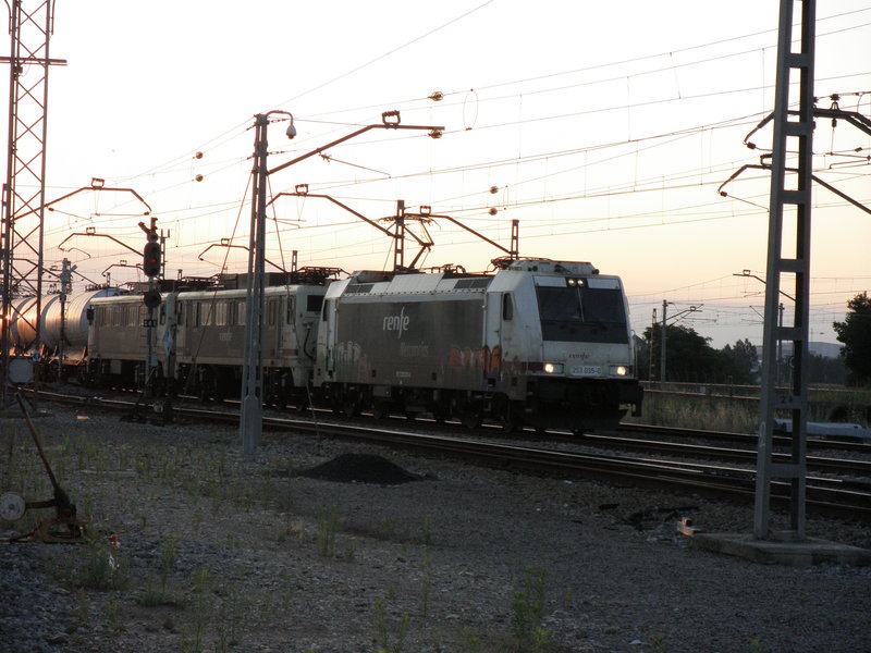 P6082097.JPG