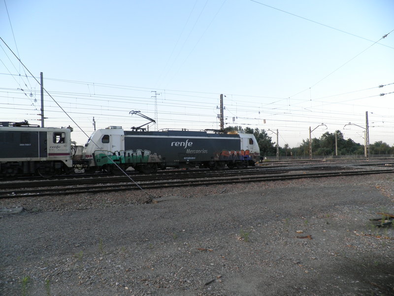P6082099.JPG