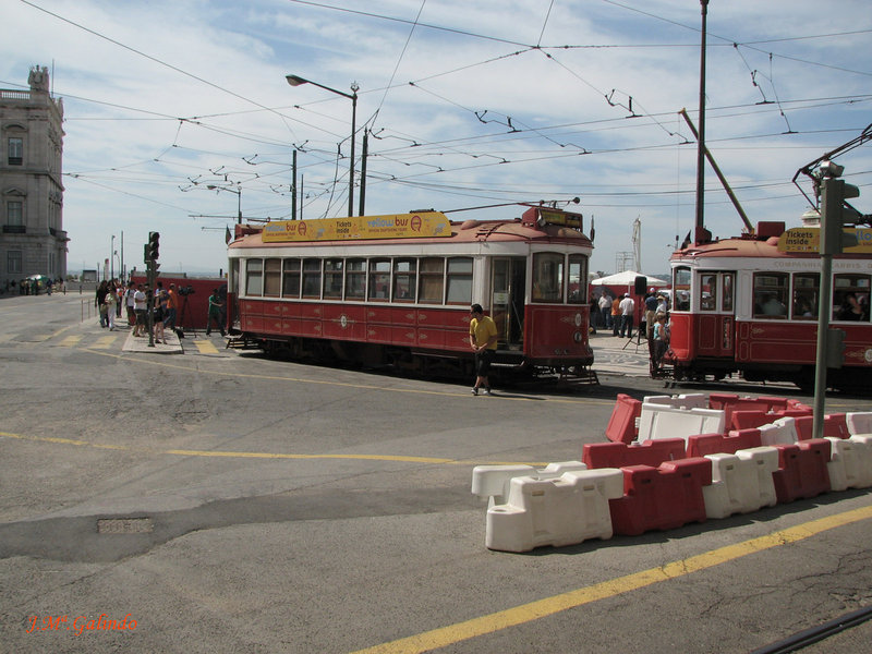 IMG_7901.jpg
