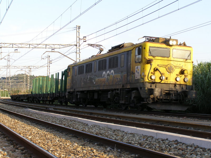 P9090545.JPG