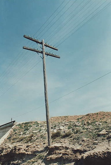 caminreal24.jpg