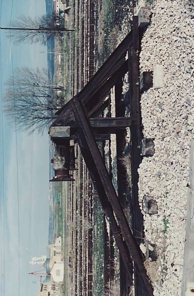 caminreal31.jpg