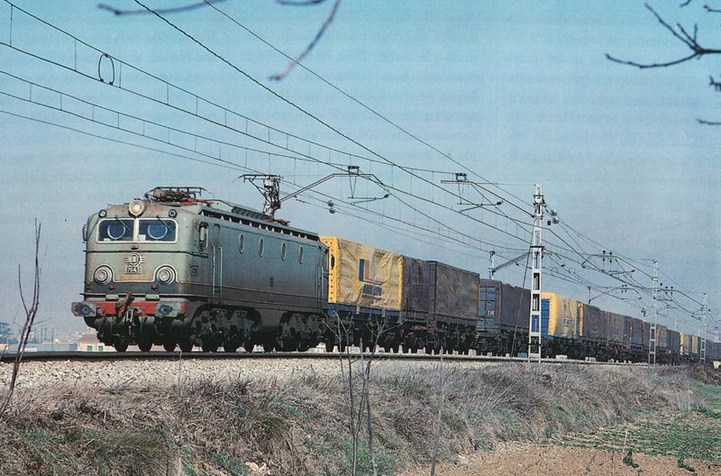 7743.JPG