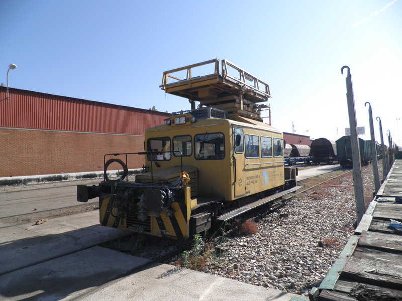 P6152154.JPG