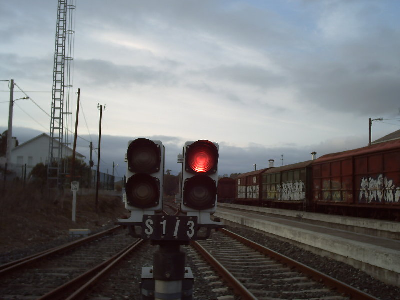 2-marzo 013.jpg
