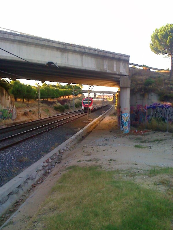 02-08-08_2034.jpg