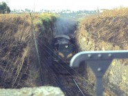 185px-Pedroches%285%29.jpg