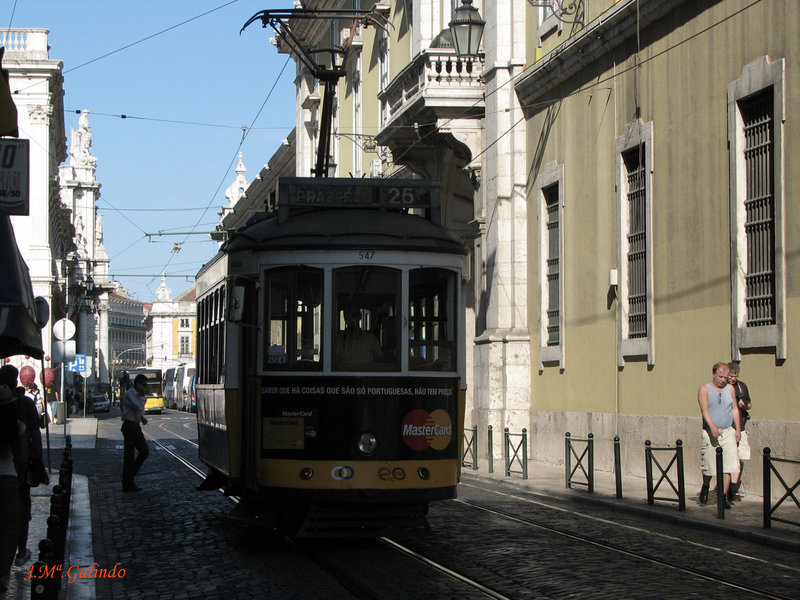 IMG_8116.jpg
