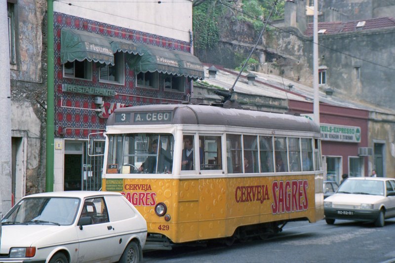 img305.jpg